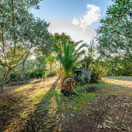 Hébergement de vacances Maravilla Olbia